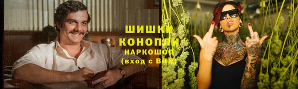 сатива Нефтекумск