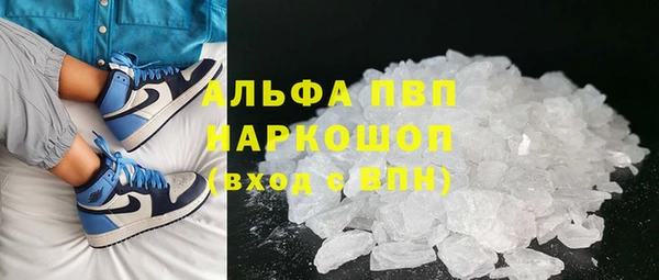 прущие грибы Нефтегорск
