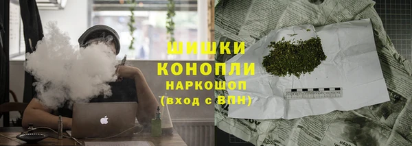 прущие грибы Нефтегорск