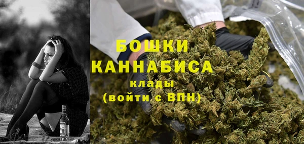 прущие грибы Нефтегорск