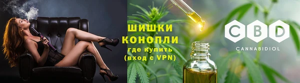 прущие грибы Нефтегорск