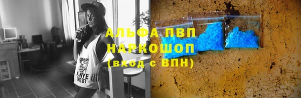сатива Нефтекумск