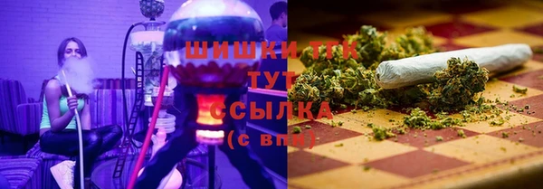 прущие грибы Нефтегорск