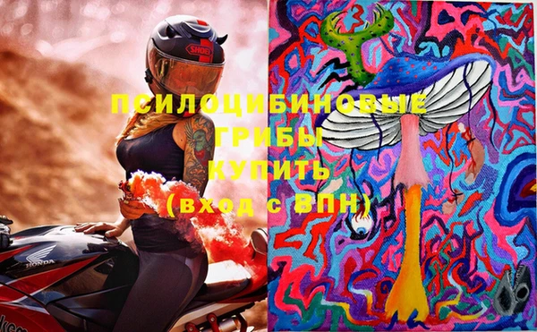 мдпв Нея