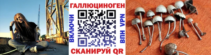 Псилоцибиновые грибы прущие грибы  Сычёвка 